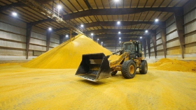 28 ноября в госфонд закупили 44,01 тысячи тонн зерна